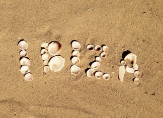 Kto może prowadzić kursy językowe?