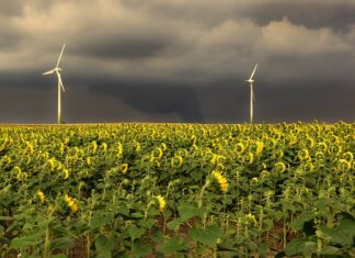 Czy kolejność w CV ma znaczenie?