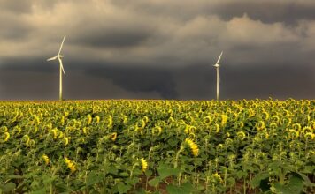 W jakiej kolejności CV?